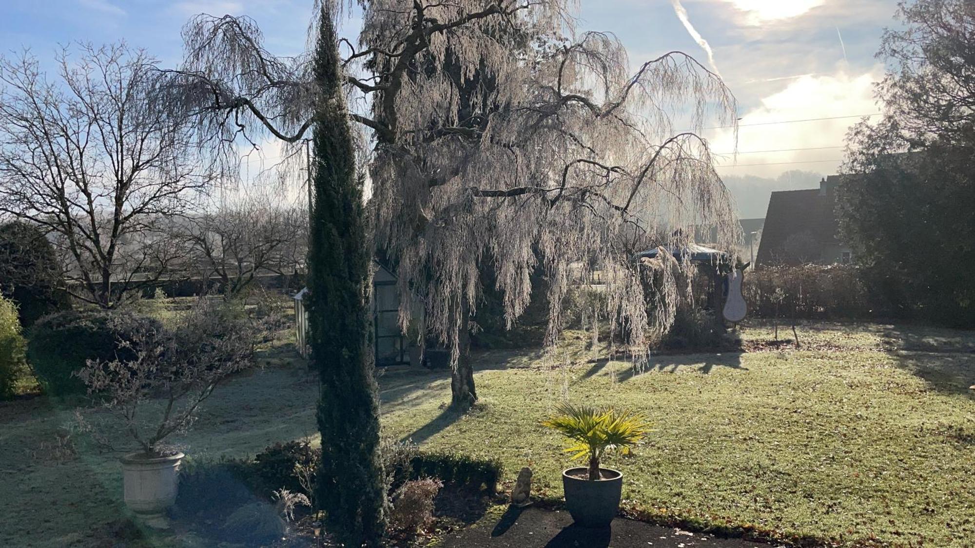 Au Temps Suspendu Bed and Breakfast Champagney Exteriör bild